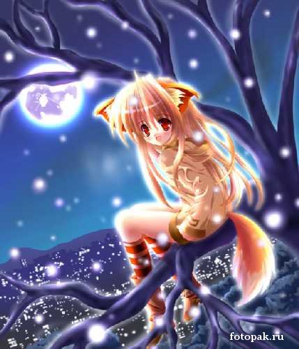 ����� 043